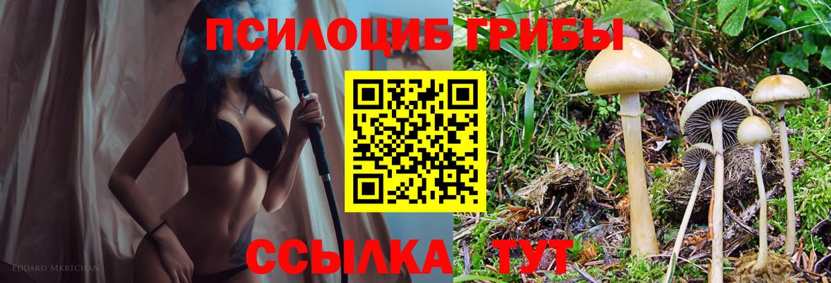 Галлюциногенные грибы MAGIC MUSHROOMS  Вход с VPN  Галлюциногенные грибы Cubensis  Красный Сулин 